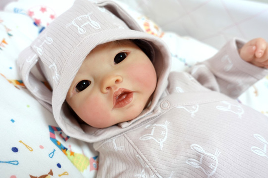 Ping Ping Reborn Doll Kit by Ping Lau - 天使のリボーンドール